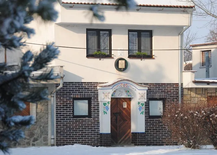 Vinny Sklep Apartment Moravská Nová Ves